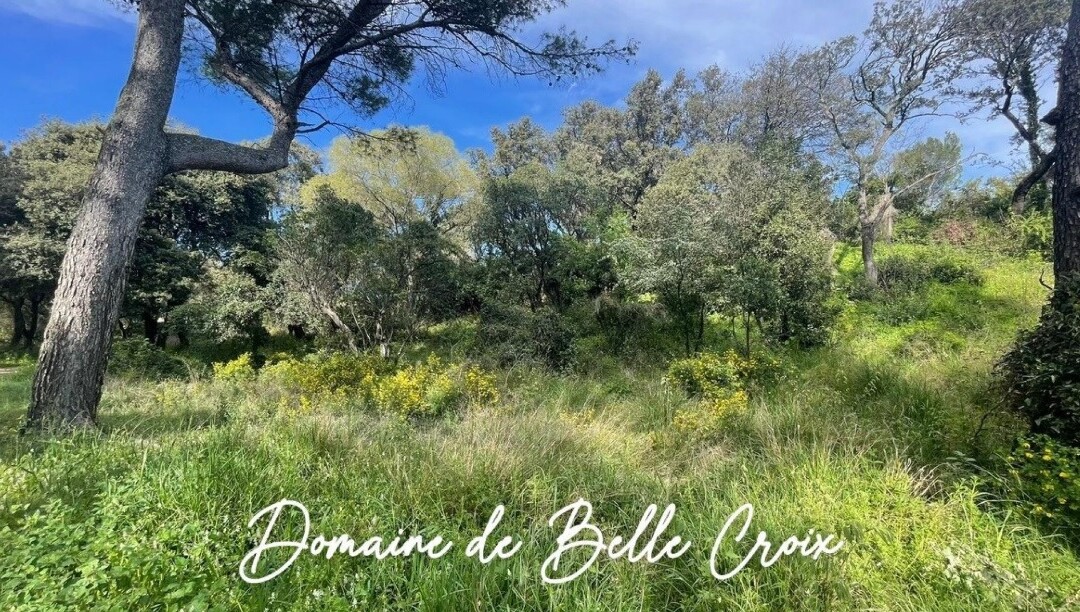 VILLENEUVE LES AVIGNON : Viabilisation en cours sur le « Domaine de Belle Croix »