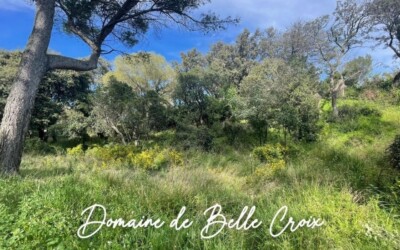 VILLENEUVE LES AVIGNON : Viabilisation en cours sur le « Domaine de Belle Croix »